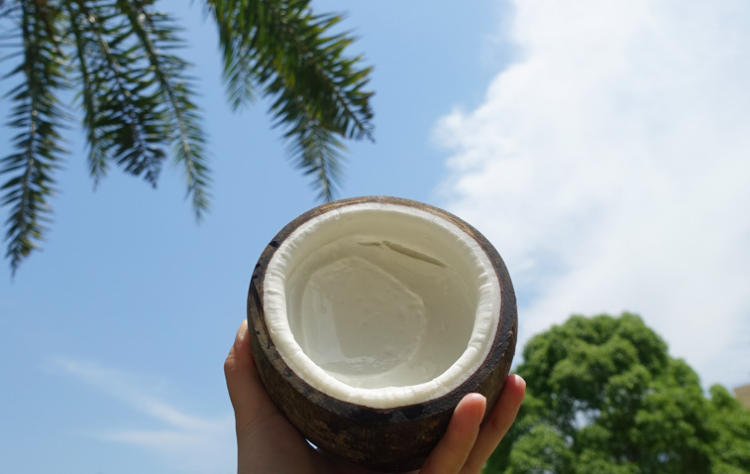 JDB电子试玩网页版