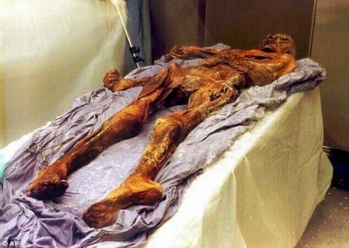 JDB电子试玩网页版