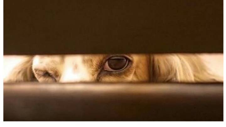 JDB电子_没有门套的房门,真的逆天了(图3) JDB电子游戏官网