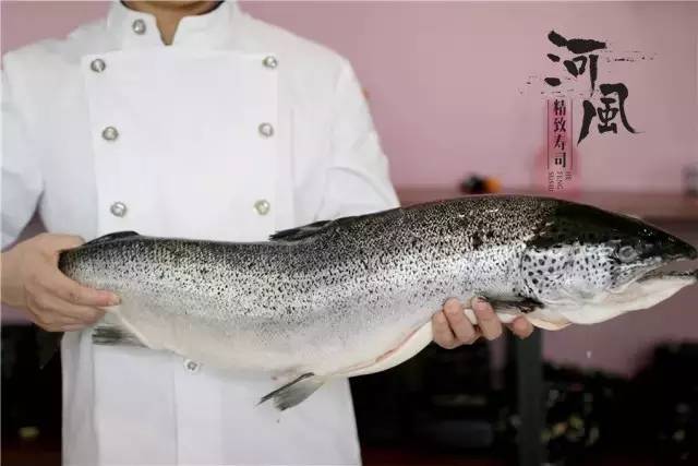 JDB电子游戏官网