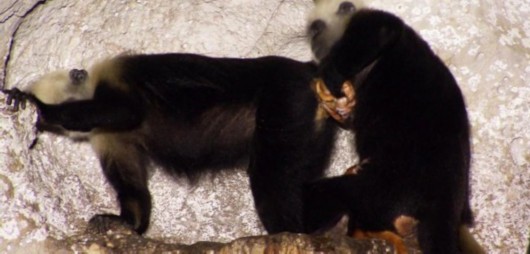 工行吉林市分行被罚25万:贷款调查不尽职-JDB电子(图1) JDB电子试玩网页版