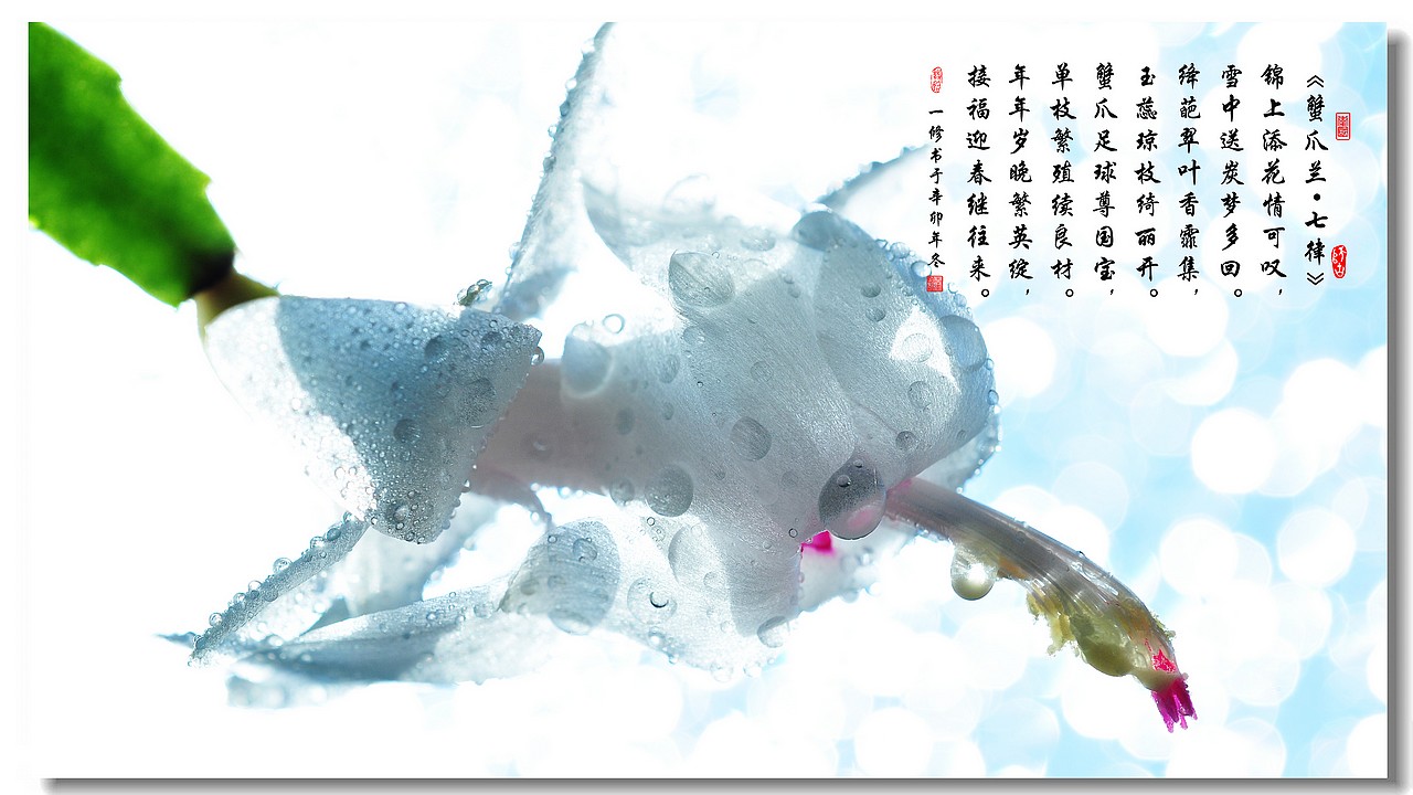 今年前五个月阿塞拜疆月均名义工资增长25%【JDB电子游戏官网】(图1) JDB电子游戏官网