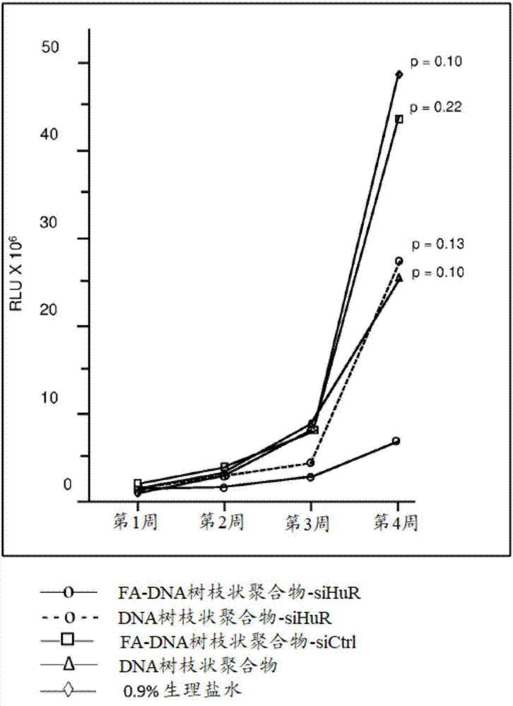 JDB电子试玩网页版