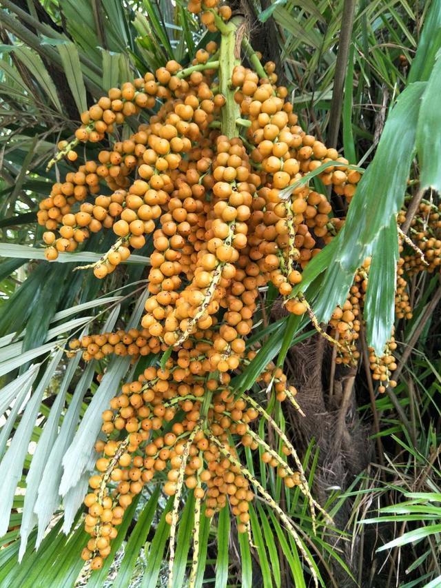 陕西一酒店经理多次遭群殴 疑有公职人员参与(图)|JDB电子(图3) JDB电子试玩网页版