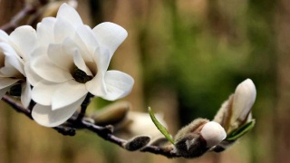 花山附近装修公司有哪些-JDB电子试玩网页版(图1) JDB电子试玩网页版