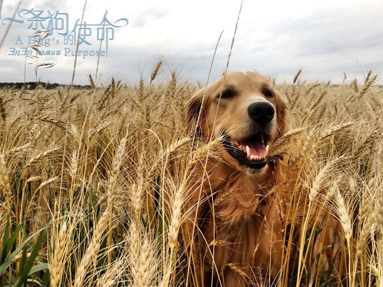 JDB电子试玩网页版:半月谈:非常之年,应最大限度释放基层改革创新活力(图1) JDB电子游戏官网