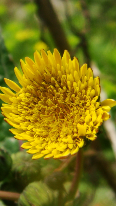 JDB电子试玩网页版