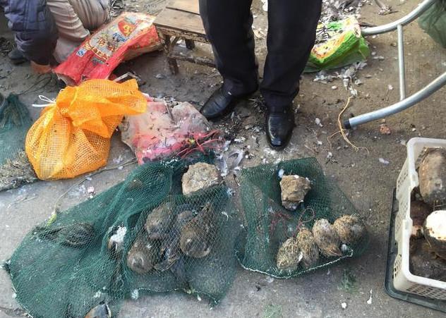 JDB电子-
南宁老城区要大变样了!上万亩旧改地发作!240个小区要革新?(图3) JDB电子游戏官网