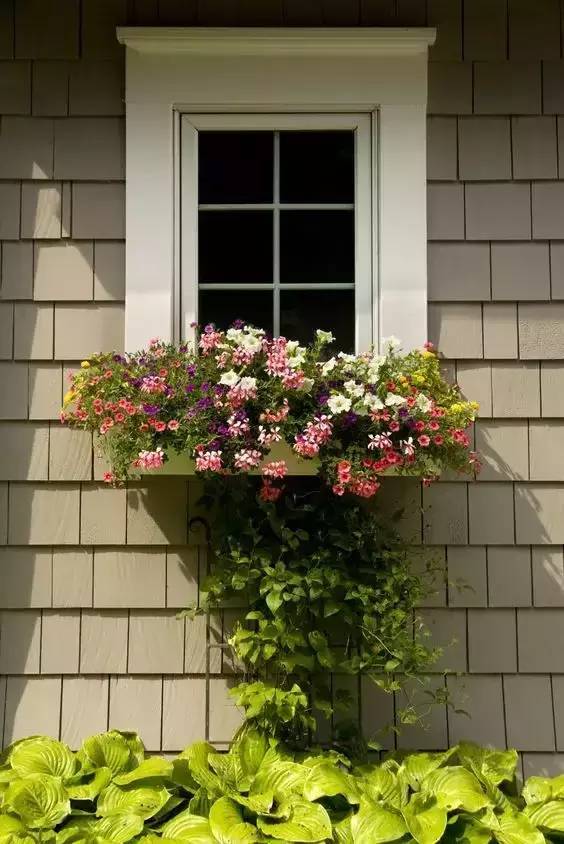 JDB电子试玩网页版